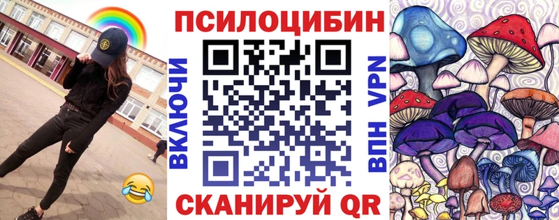 Галлюциногенные грибы Psilocybe  Санкт-Петербург 